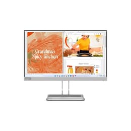 Monitor 21 Lenovo L22i-40 1920 x 1080 LED Sivá