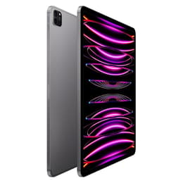 iPad Pro 12.9" (2022) 6. generácia 256 GB - WiFi - Vesmírna Šedá