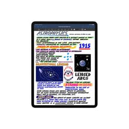 iPad Pro 12.9 (2021) 5. generácia 256 Go - WiFi + 5G - Vesmírna Šedá