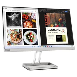 Monitor 24 Lenovo L24I-4A 1920 x 1080 LED Sivá