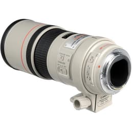 Objektív EF 300mm f/4