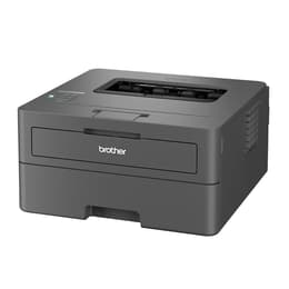 Brother HL-L2400DW Čiernobiela laserová