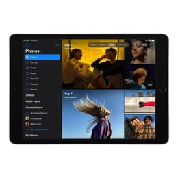 iPad 10.2 (2019) 7. generácia 32 Go - WiFi - Vesmírna Šedá