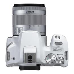 Fotoaparáty Canon EOS 250D