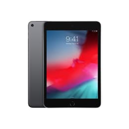 iPad mini (2019) 5. generácia 256 Go - WiFi - Vesmírna Šedá