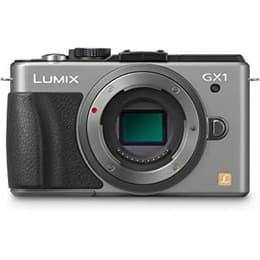 Lumix DMC-GX1 - Sivá