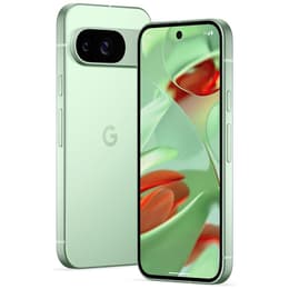Google Pixel 9 256GB - Zelená - Neblokovaný