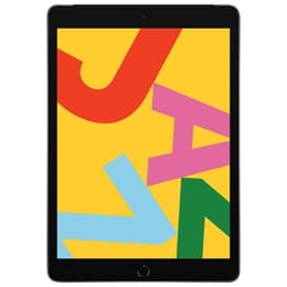 iPad 10.2 (2019) 7. generácia 32 Go - WiFi + 4G - Vesmírna Šedá