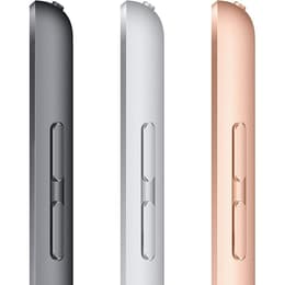 iPad 10.2 (2020) 8. generácia 32 Go - WiFi - Strieborná