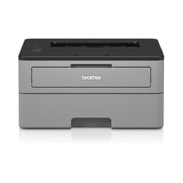 Brother HL-L2310D Čiernobiela laserová