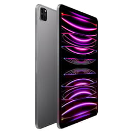 iPad Pro 11 (2022) 4. generácia 512 Go - WiFi - Vesmírna Šedá