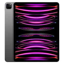 iPad Pro 12.9" (2022) 6. generácia 2000 GB - WiFi - Vesmírna Šedá