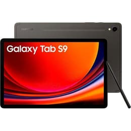 Galaxy Tab S9 256GB - Sivá - WiFi + 5G
