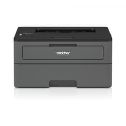 Brother HL-L2370DN Čiernobiela laserová