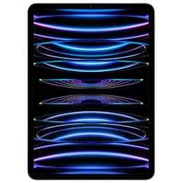 iPad Pro 11 (2022) 4. generácia 512 Go - WiFi + 5G - Strieborná