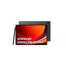 Galaxy Tab S9+ 256GB - Sivá - WiFi + 5G