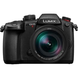 Lumix DC-GH5M2L - Čierna Panasonic Leica DG Vario Elmar 12-60mm f/2.8-4 POWER OIS f/2.8-4
